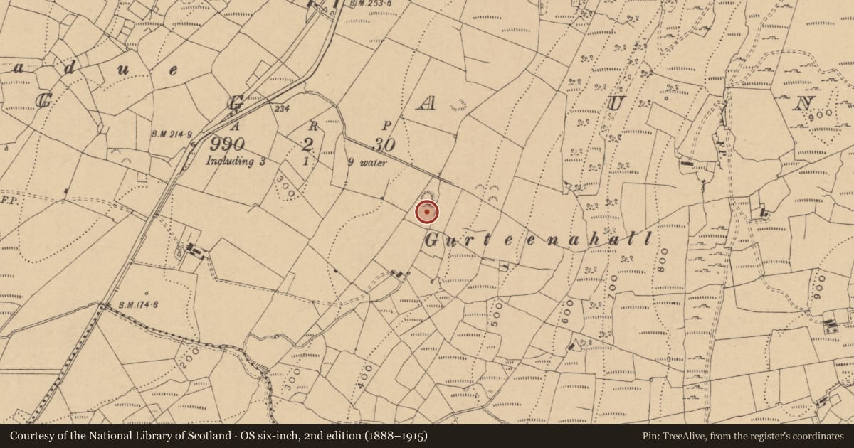 Ordnance Survey six-inch map, 2nd edition (1888–1915) covering the location of Standing stone, Boggaun, County Leitrim, with a pin at the register's coordinates