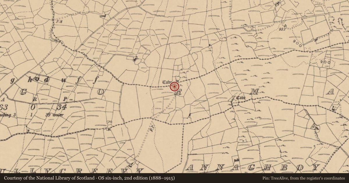 Ordnance Survey six-inch map, 2nd edition (1888–1915) covering the location of Souterrain, Lisgorman, County Leitrim, with a pin at the register's coordinates