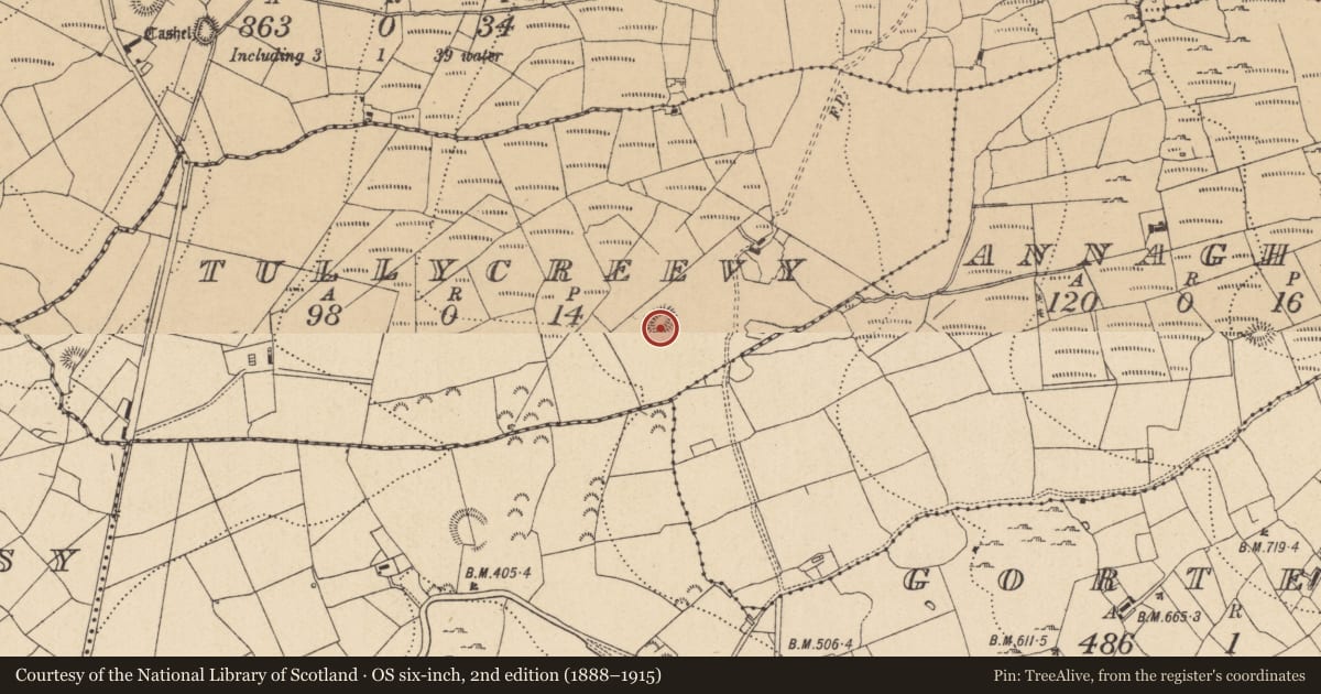 Ordnance Survey six-inch map, 2nd edition (1888–1915) covering the location of Ringfort - rath, Tullycreevy, County Leitrim, with a pin at the register's coordinates