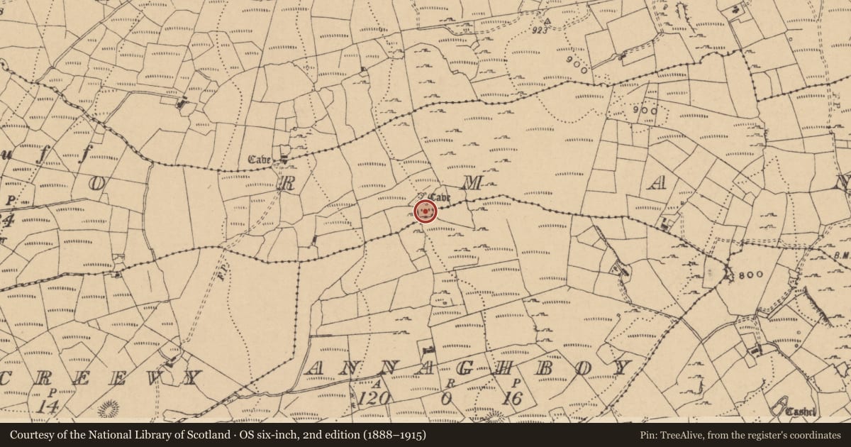 Ordnance Survey six-inch map, 2nd edition (1888–1915) covering the location of Ringfort - cashel, Lisgorman, County Leitrim, with a pin at the register's coordinates