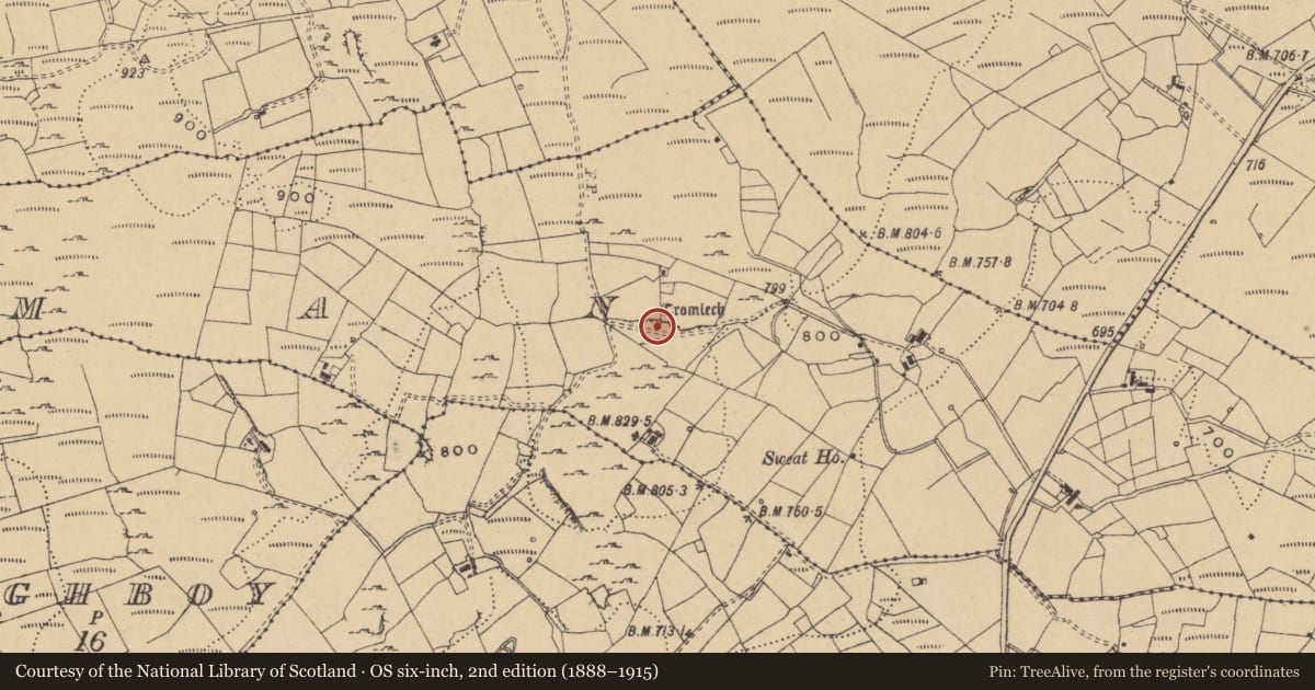 Ordnance Survey six-inch map, 2nd edition (1888–1915) covering the location of Enclosure, Lisgorman, County Leitrim, with a pin at the register's coordinates