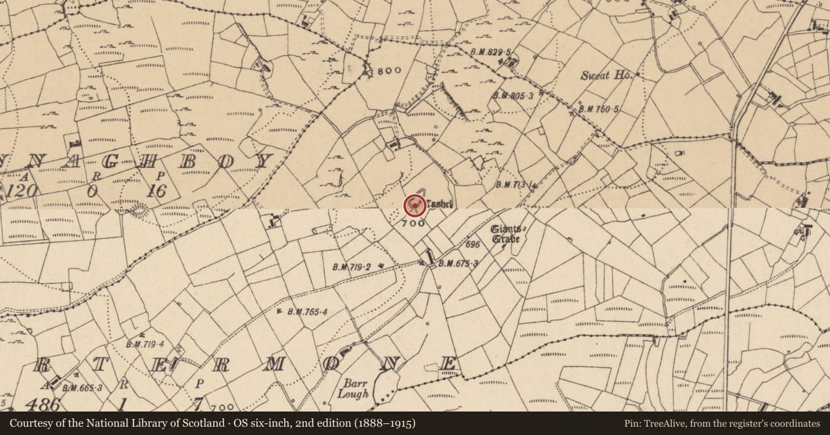 Ordnance Survey six-inch map, 2nd edition (1888–1915) covering the location of Ringfort - cashel, Gortermone, County Leitrim, with a pin at the register's coordinates