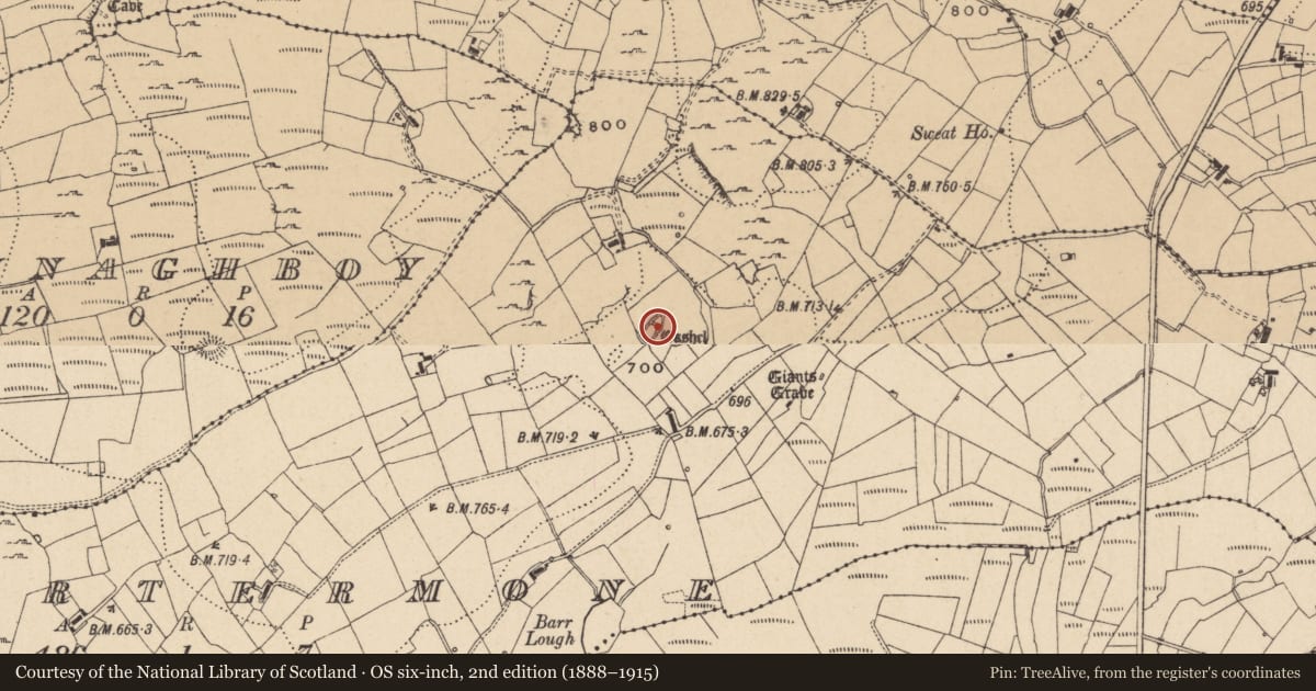 Ordnance Survey six-inch map, 2nd edition (1888–1915) covering the location of Enclosure, Gortermone, County Leitrim, with a pin at the register's coordinates