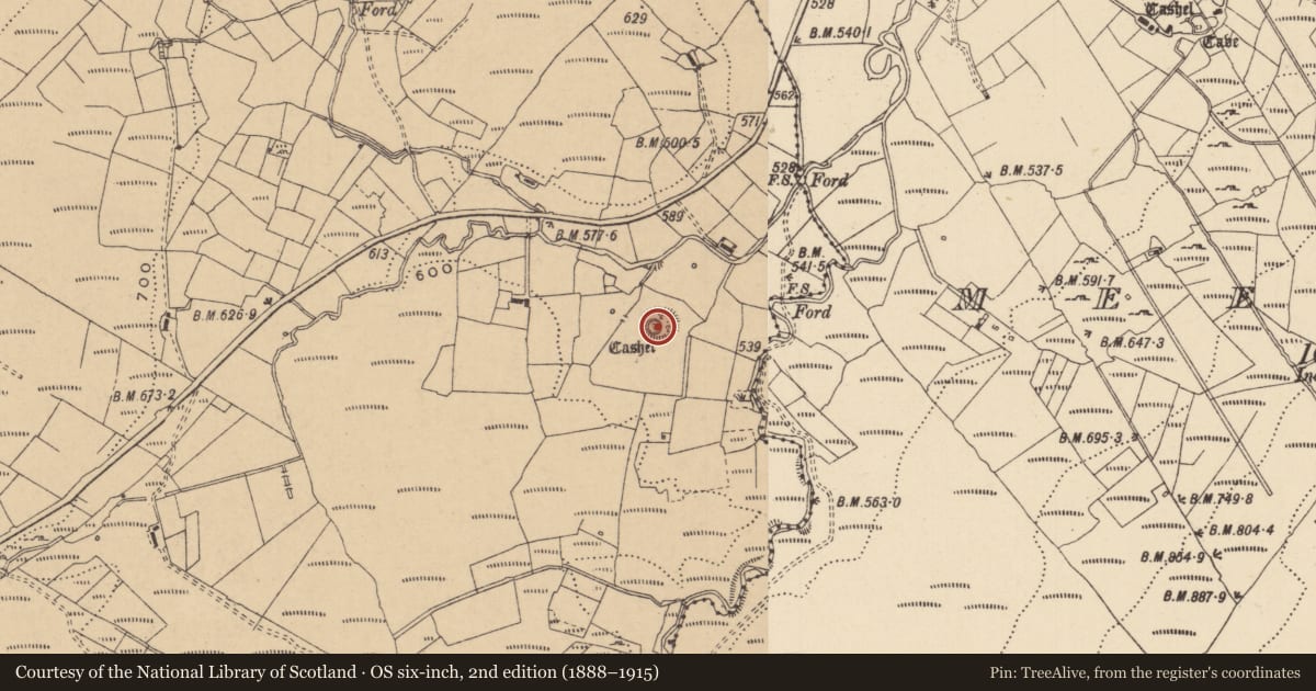 Ordnance Survey six-inch map, 2nd edition (1888–1915) covering the location of Ringfort - cashel, Larkfield, County Leitrim, with a pin at the register's coordinates