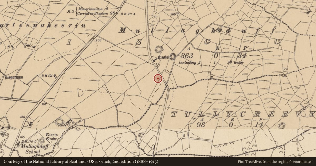 Ordnance Survey six-inch map, 2nd edition (1888–1915) covering the location of Ringfort - rath, Lisgorman, County Leitrim, with a pin at the register's coordinates