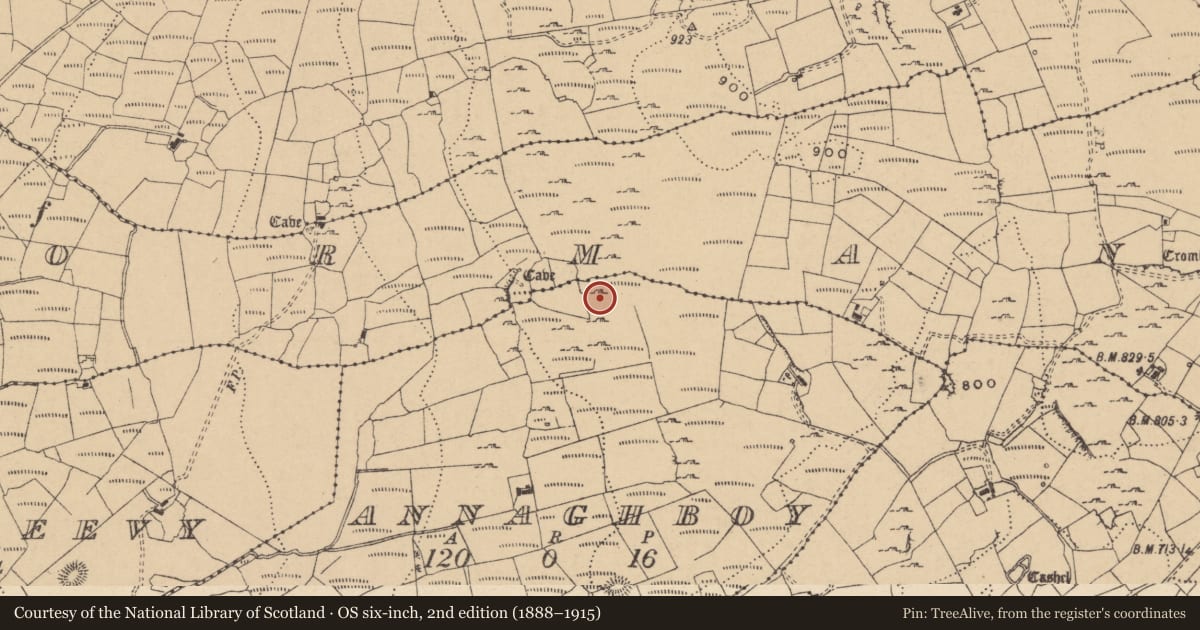 Ordnance Survey six-inch map, 2nd edition (1888–1915) covering the location of Cairn - unclassified, Annaghboy, County Leitrim, with a pin at the register's coordinates