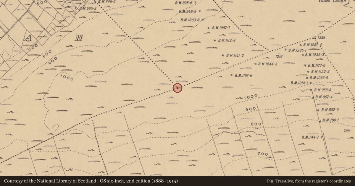 Ordnance Survey six-inch map, 2nd edition (1888–1915) covering the location of Cairn - unclassified, County Leitrim, with a pin at the register's coordinates
