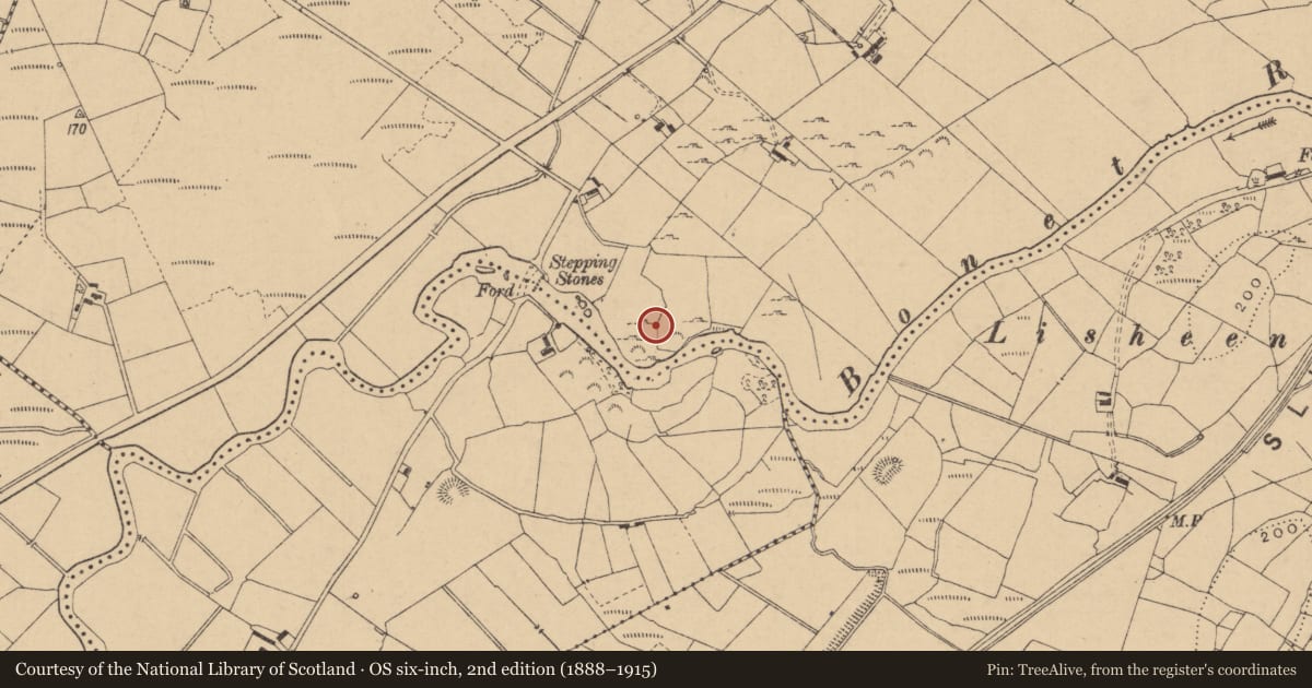 Ordnance Survey six-inch map, 2nd edition (1888–1915) covering the location of Burial ground, Cloonaquin, County Leitrim, with a pin at the register's coordinates