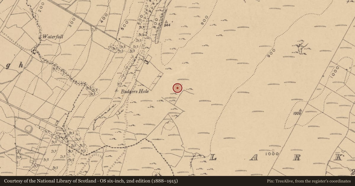 Ordnance Survey six-inch map, 2nd edition (1888–1915) covering the location of Enclosure, Larkfield, County Leitrim, with a pin at the register's coordinates