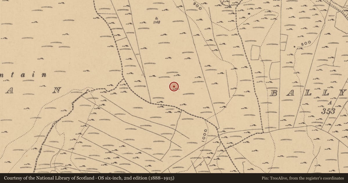 Ordnance Survey six-inch map, 2nd edition (1888–1915) covering the location of Enclosure, Conray, County Leitrim, with a pin at the register's coordinates