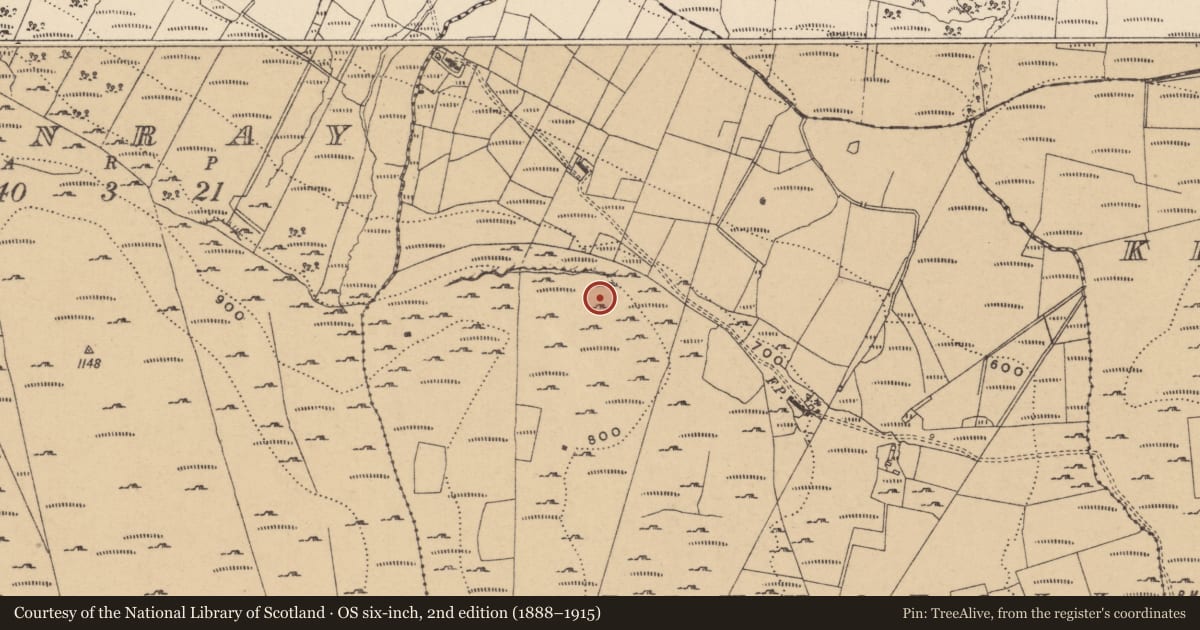 Ordnance Survey six-inch map, 2nd edition (1888–1915) covering the location of Mass-rock, Ballynaboll, County Leitrim, with a pin at the register's coordinates
