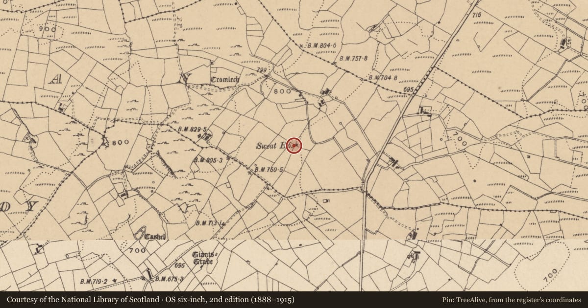 Ordnance Survey six-inch map, 2nd edition (1888–1915) covering the location of Sweathouse, Lisgorman, County Leitrim, with a pin at the register's coordinates
