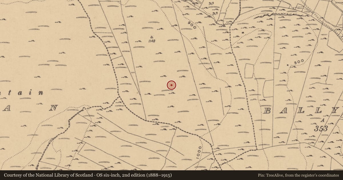 Ordnance Survey six-inch map, 2nd edition (1888–1915) covering the location of Hut site, Conray, County Leitrim, with a pin at the register's coordinates