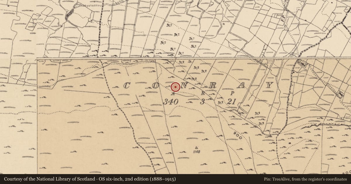 Ordnance Survey six-inch map, 2nd edition (1888–1915) covering the location of Structure, Conray, County Leitrim, with a pin at the register's coordinates