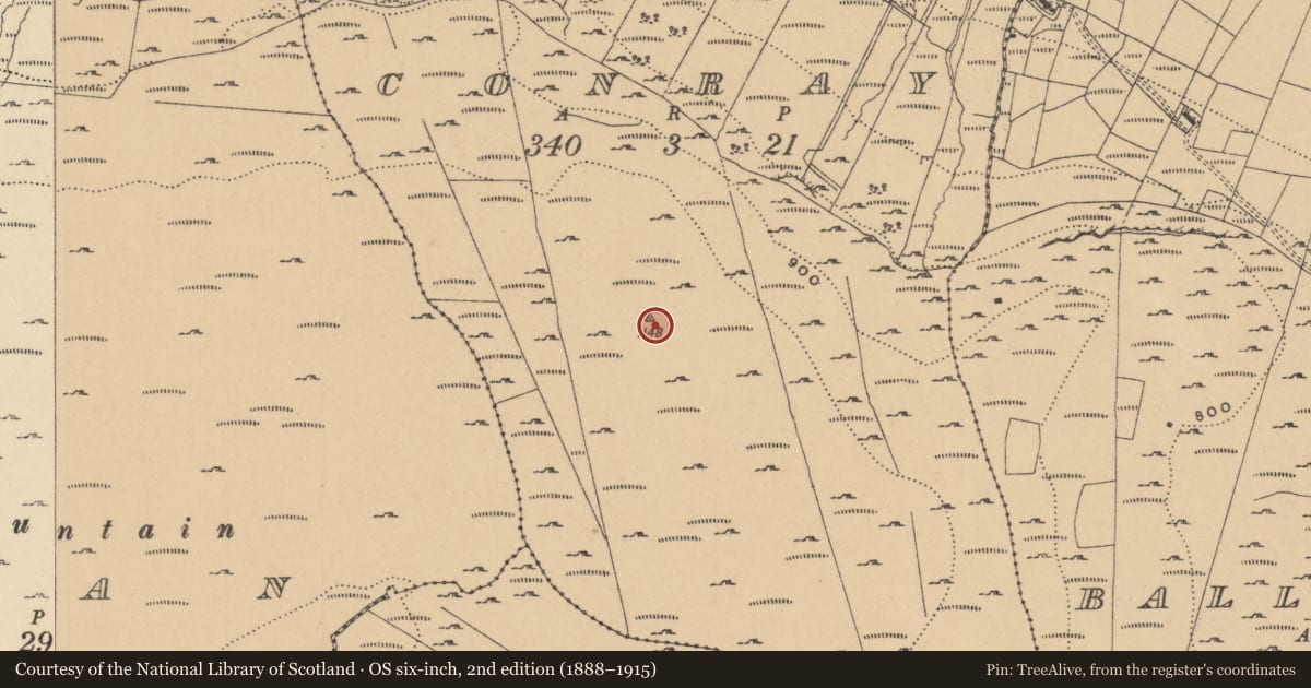 Ordnance Survey six-inch map, 2nd edition (1888–1915) covering the location of Cairn - unclassified, Conray, County Leitrim, with a pin at the register's coordinates
