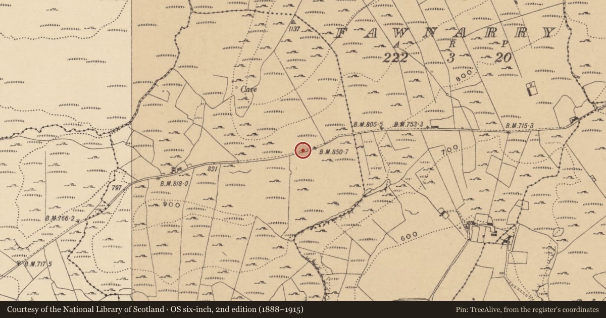 Ordnance Survey six-inch map, 2nd edition (1888–1915) covering the location of Well, Curraghan, County Leitrim, with a pin at the register's coordinates