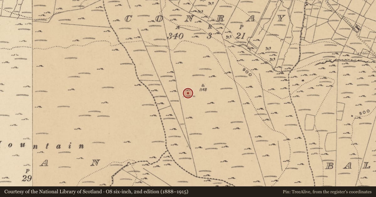 Ordnance Survey six-inch map, 2nd edition (1888–1915) covering the location of House - indeterminate date, Conray, County Leitrim, with a pin at the register's coordinates