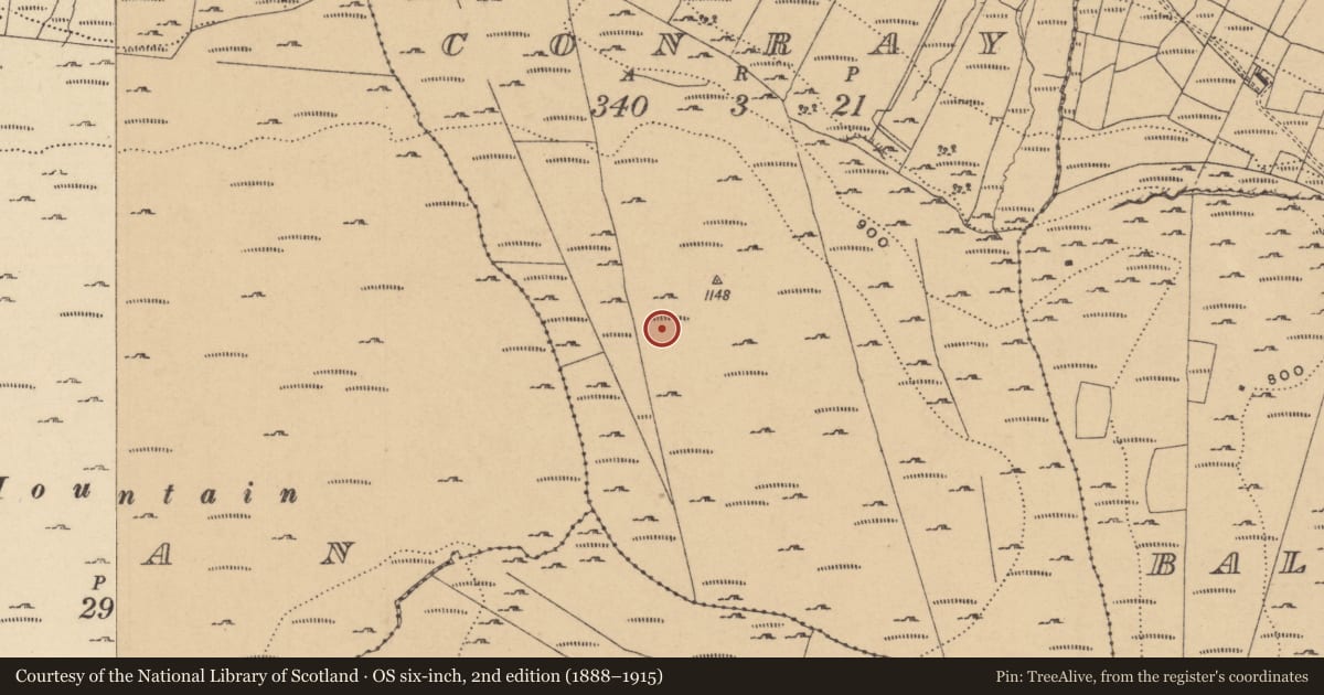 Ordnance Survey six-inch map, 2nd edition (1888–1915) covering the location of House - indeterminate date, Conray, County Leitrim, with a pin at the register's coordinates