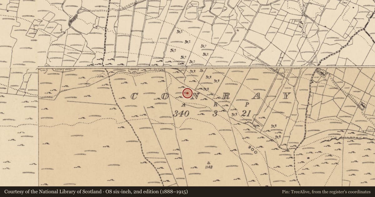 Ordnance Survey six-inch map, 2nd edition (1888–1915) covering the location of House - indeterminate date, Conray, County Leitrim, with a pin at the register's coordinates