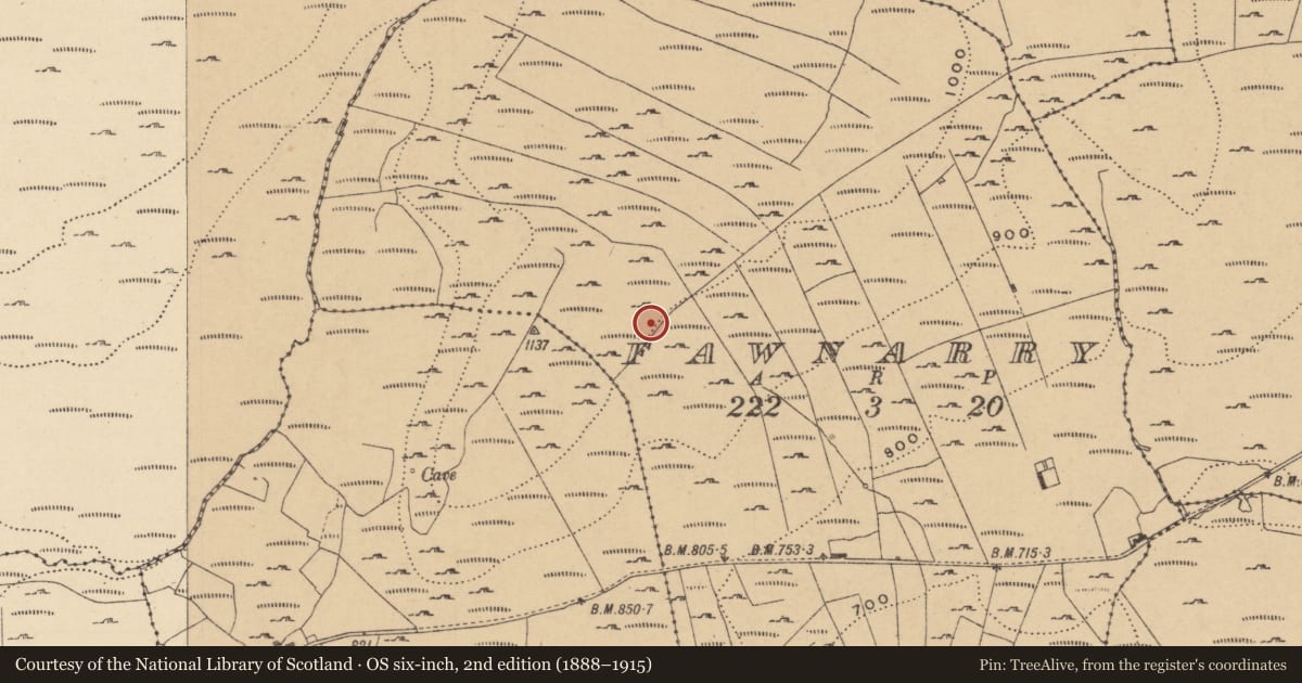Ordnance Survey six-inch map, 2nd edition (1888–1915) covering the location of Hut site, Fawnarry, County Leitrim, with a pin at the register's coordinates