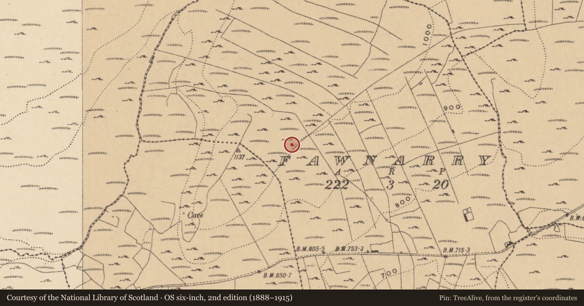 Ordnance Survey six-inch map, 2nd edition (1888–1915) covering the location of Hut site, Fawnarry, County Leitrim, with a pin at the register's coordinates