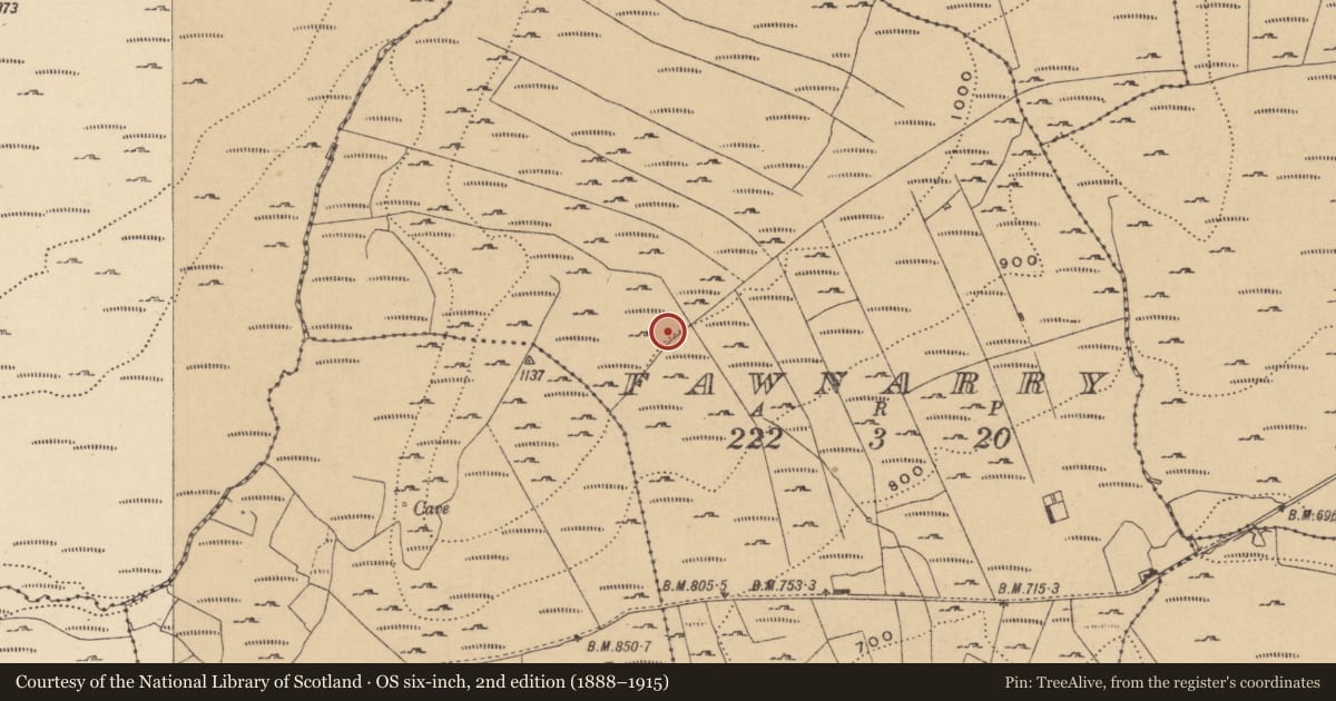 Ordnance Survey six-inch map, 2nd edition (1888–1915) covering the location of Hut site, Fawnarry, County Leitrim, with a pin at the register's coordinates