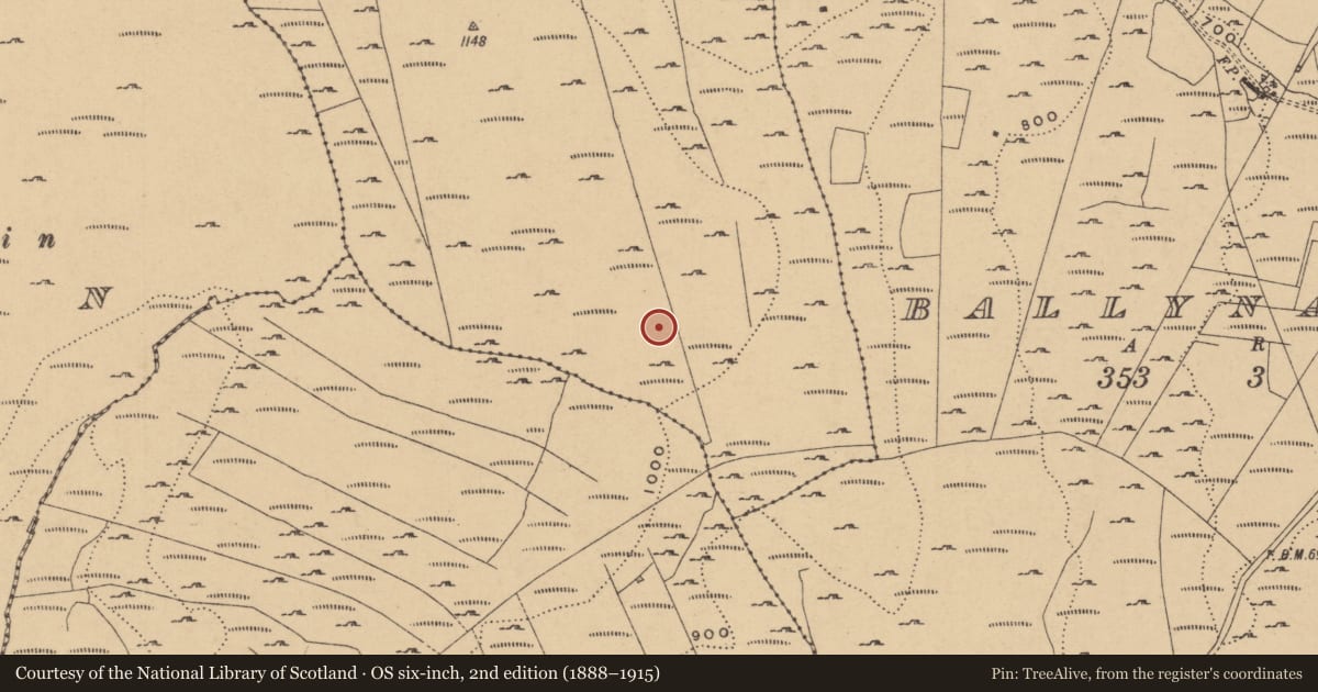 Ordnance Survey six-inch map, 2nd edition (1888–1915) covering the location of Hut site, Conray, County Leitrim, with a pin at the register's coordinates