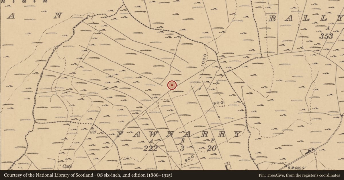 Ordnance Survey six-inch map, 2nd edition (1888–1915) covering the location of Field boundary, Fawnarry, County Leitrim, with a pin at the register's coordinates