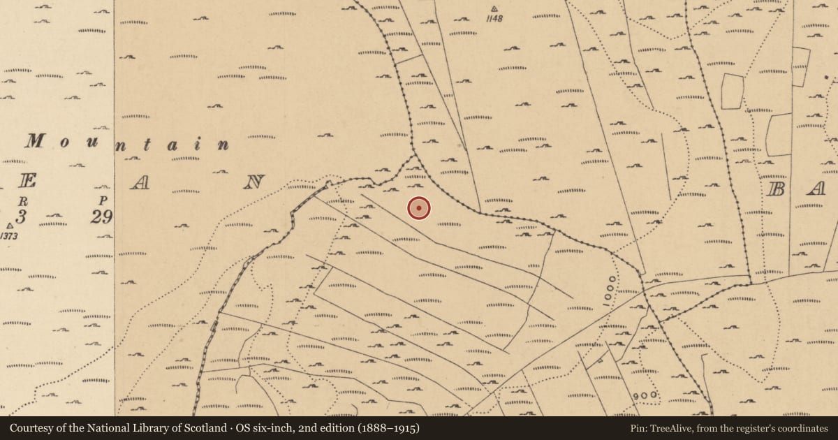 Ordnance Survey six-inch map, 2nd edition (1888–1915) covering the location of Field boundary, Fawnarry, County Leitrim, with a pin at the register's coordinates
