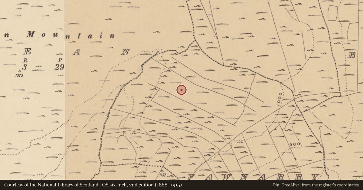 Ordnance Survey six-inch map, 2nd edition (1888–1915) covering the location of Field boundary, Fawnarry, County Leitrim, with a pin at the register's coordinates