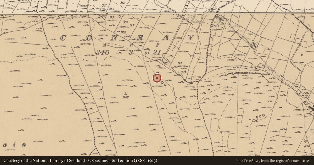 Ordnance Survey six-inch map, 2nd edition (1888–1915) covering the location of Field boundary, Conray, County Leitrim, with a pin at the register's coordinates