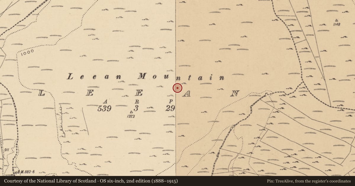 Ordnance Survey six-inch map, 2nd edition (1888–1915) covering the location of Field boundary, Leean, County Leitrim, with a pin at the register's coordinates