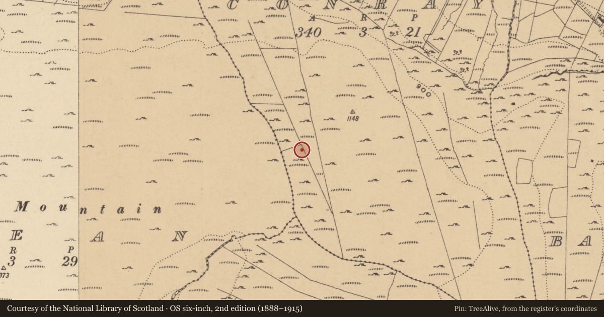 Ordnance Survey six-inch map, 2nd edition (1888–1915) covering the location of Field boundary, Conray, County Leitrim, with a pin at the register's coordinates