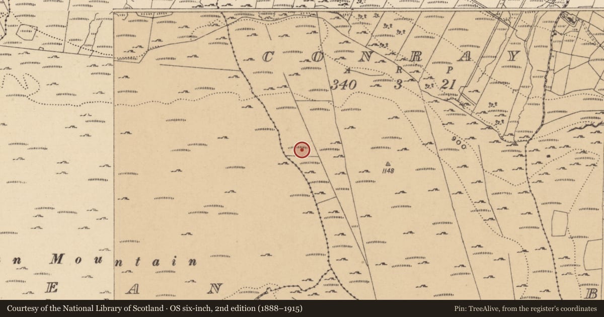 Ordnance Survey six-inch map, 2nd edition (1888–1915) covering the location of Field boundary, Conray, Leean, County Leitrim, with a pin at the register's coordinates