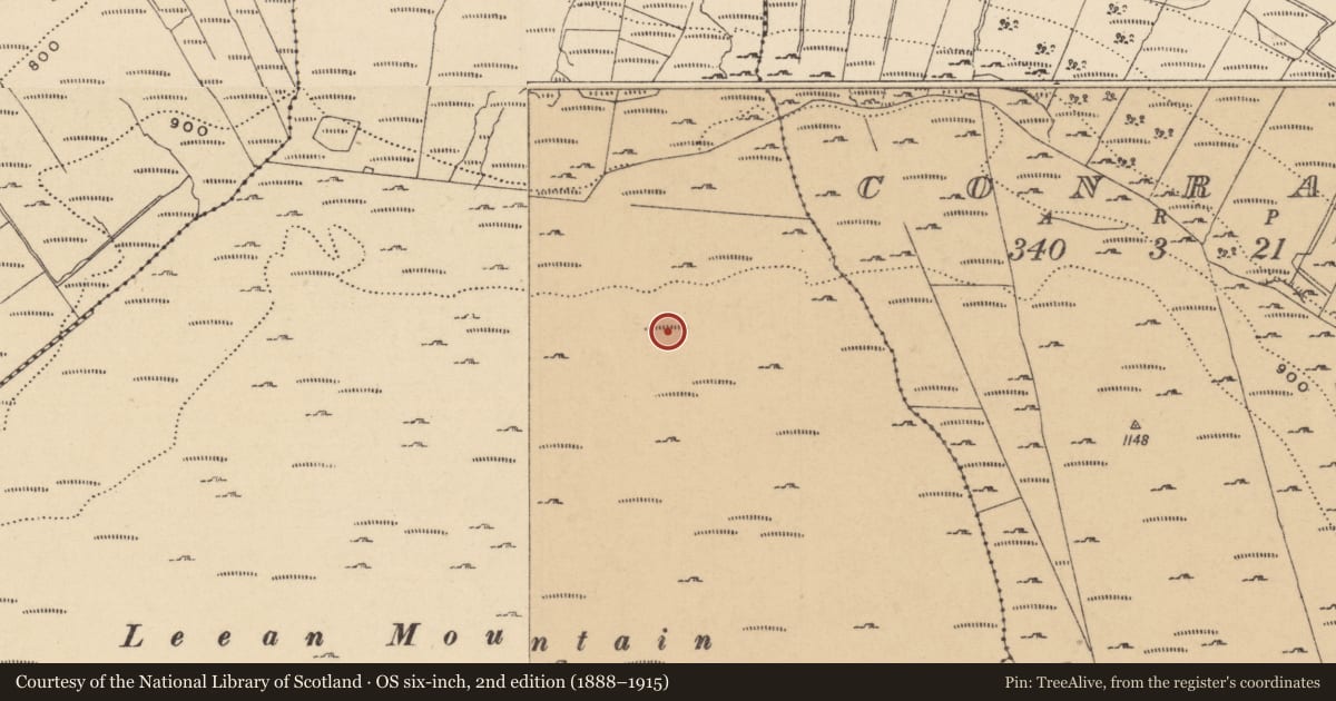 Ordnance Survey six-inch map, 2nd edition (1888–1915) covering the location of Field boundary, Leean, County Leitrim, with a pin at the register's coordinates