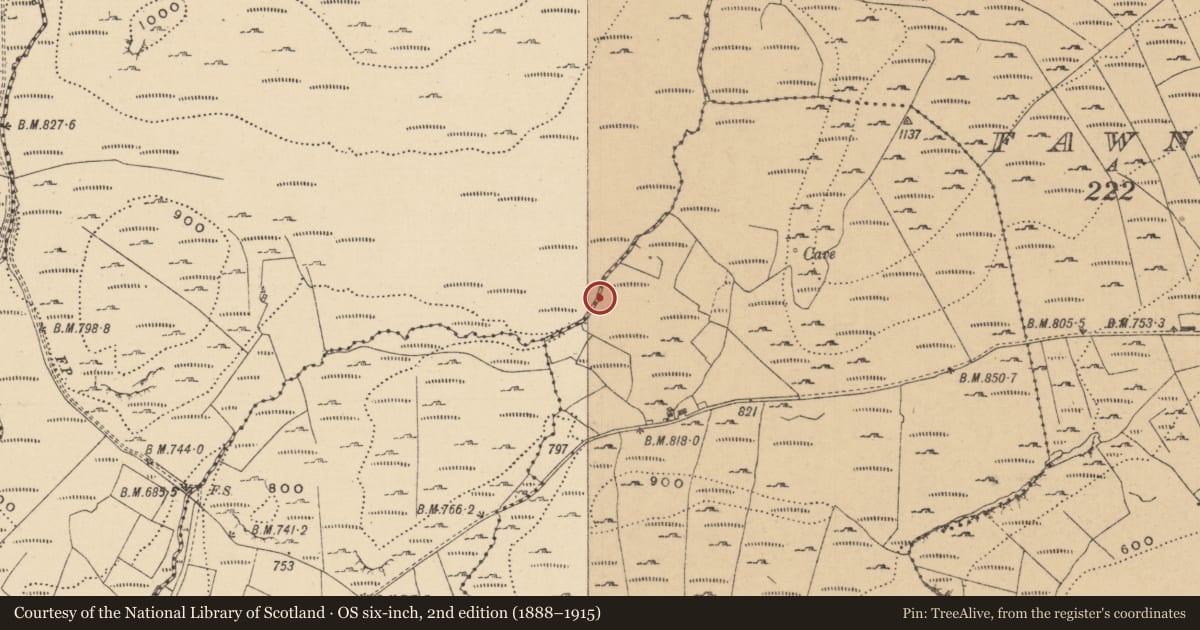 Ordnance Survey six-inch map, 2nd edition (1888–1915) covering the location of Field boundary, Curraghan, County Leitrim, with a pin at the register's coordinates