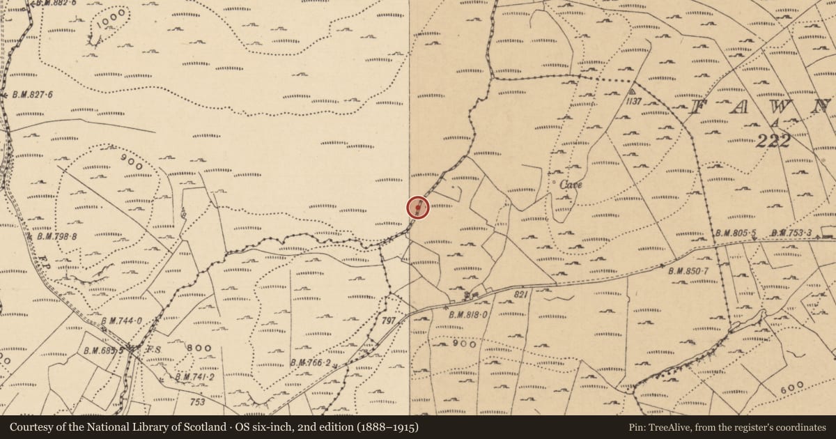 Ordnance Survey six-inch map, 2nd edition (1888–1915) covering the location of Field boundary, Curraghan, County Leitrim, with a pin at the register's coordinates