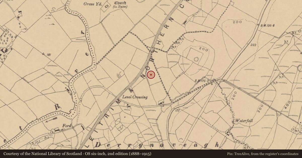 Ordnance Survey six-inch map, 2nd edition (1888–1915) covering the location of Burnt mound, Boggaun, County Leitrim, with a pin at the register's coordinates