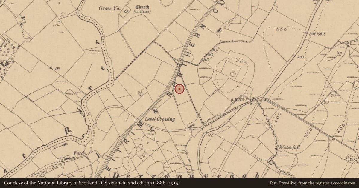 Ordnance Survey six-inch map, 2nd edition (1888–1915) covering the location of Burnt mound, Boggaun, County Leitrim, with a pin at the register's coordinates