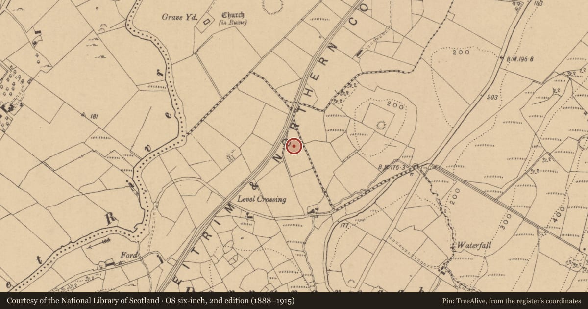 Ordnance Survey six-inch map, 2nd edition (1888–1915) covering the location of Burnt mound, Boggaun, County Leitrim, with a pin at the register's coordinates