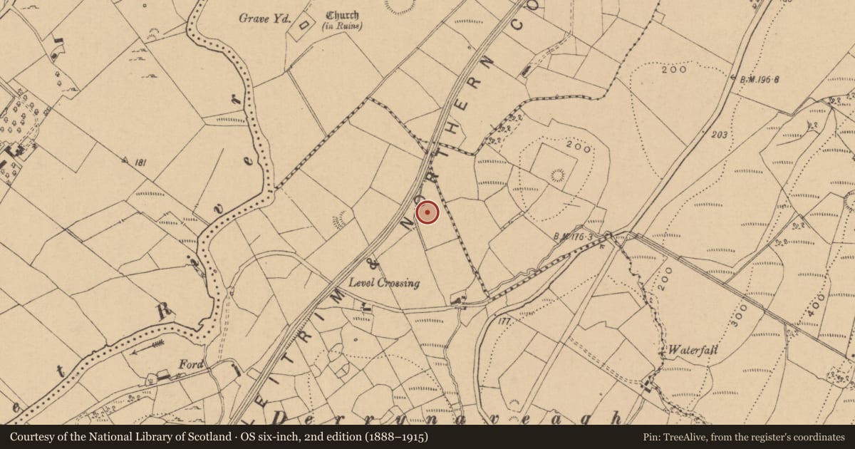 Ordnance Survey six-inch map, 2nd edition (1888–1915) covering the location of Burnt spread, Boggaun, County Leitrim, with a pin at the register's coordinates