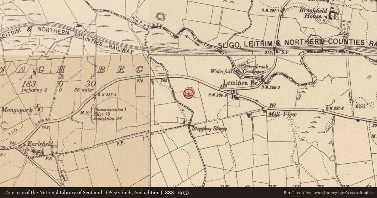Ordnance Survey six-inch map, 2nd edition (1888–1915) covering the location of Ringfort - rath, Moneenshinnagh, County Leitrim, with a pin at the register's coordinates