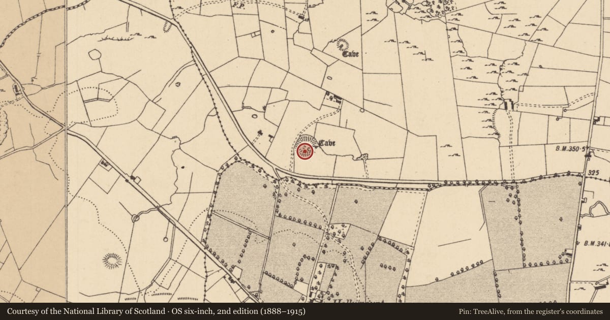 Ordnance Survey six-inch map, 2nd edition (1888–1915) covering the location of Ringfort - unclassified, Moneenshinnagh, County Leitrim, with a pin at the register's coordinates