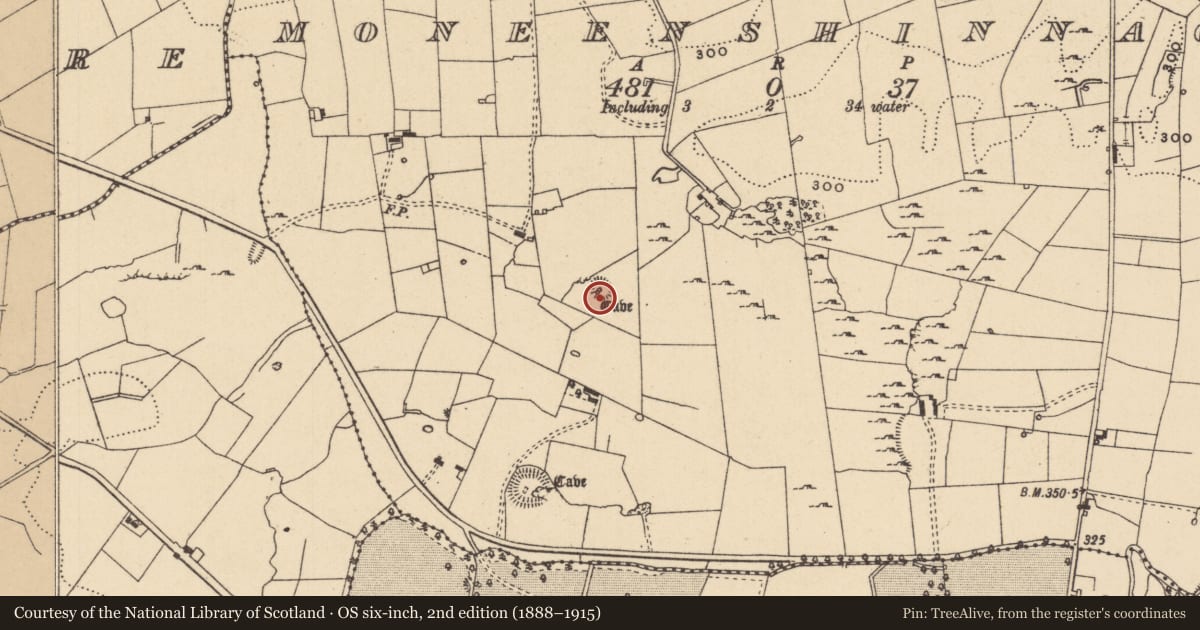 Ordnance Survey six-inch map, 2nd edition (1888–1915) covering the location of Ringfort - cashel, Moneenshinnagh, County Leitrim, with a pin at the register's coordinates