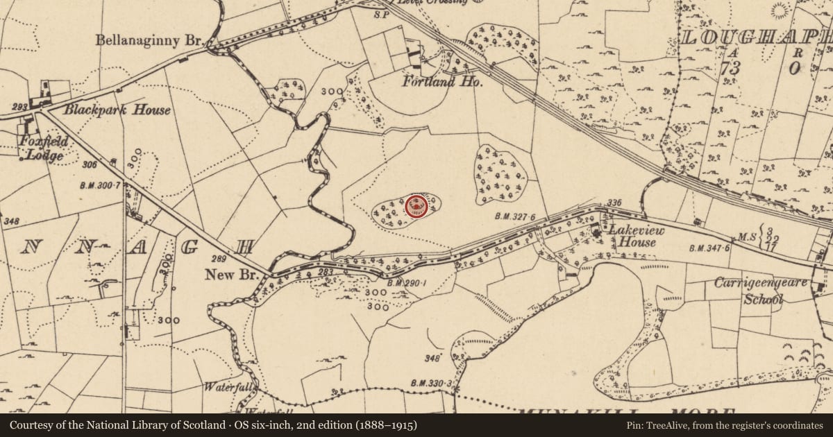 Ordnance Survey six-inch map, 2nd edition (1888–1915) covering the location of Ringfort - rath, Lissinagroagh, County Leitrim, with a pin at the register's coordinates