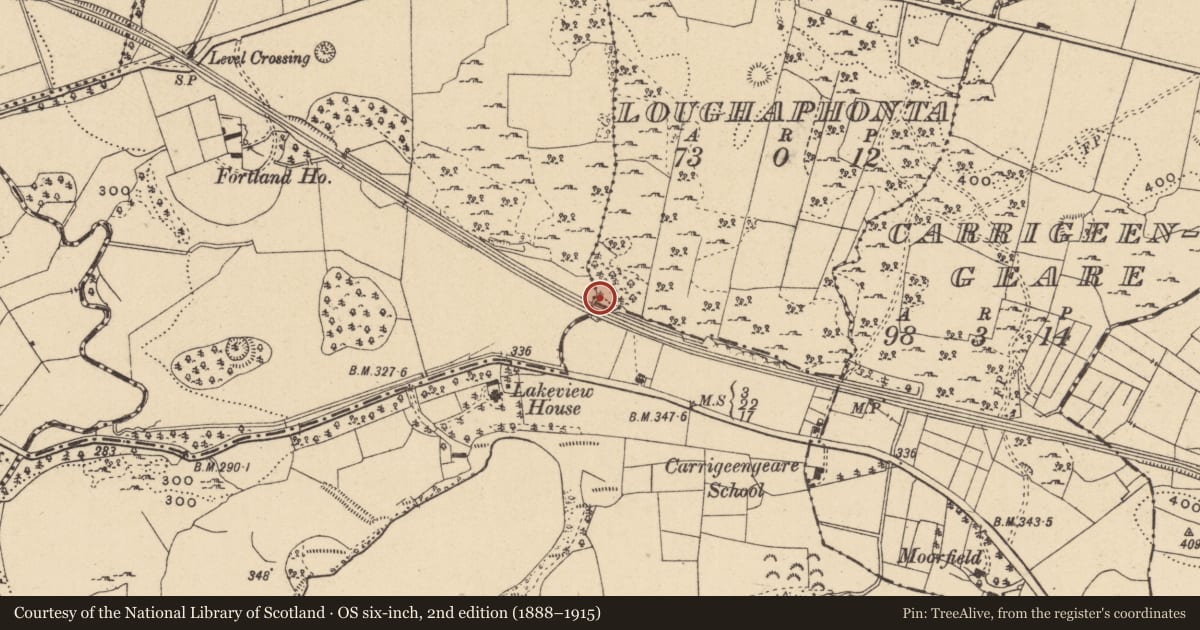 Ordnance Survey six-inch map, 2nd edition (1888–1915) covering the location of Enclosure, Loughaphonta, County Leitrim, with a pin at the register's coordinates