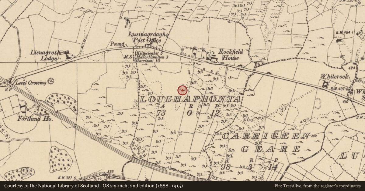 Ordnance Survey six-inch map, 2nd edition (1888–1915) covering the location of Ringfort - unclassified, Loughaphonta, County Leitrim, with a pin at the register's coordinates