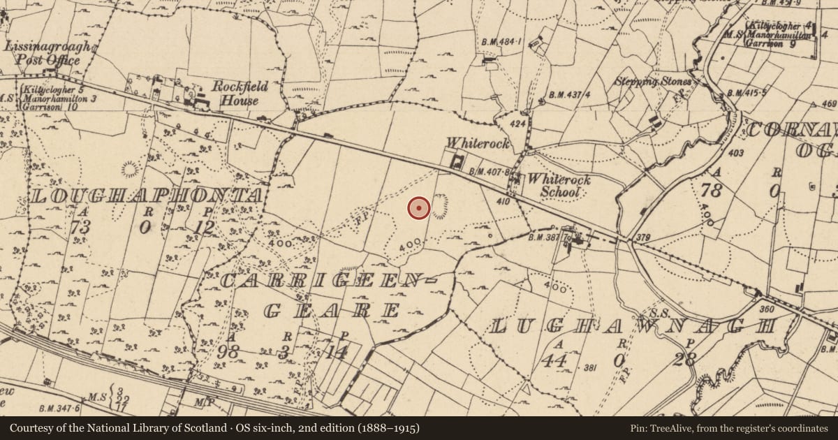 Ordnance Survey six-inch map, 2nd edition (1888–1915) covering the location of Megalithic tomb - court tomb, Carrigeengeare, County Leitrim, with a pin at the register's coordinates