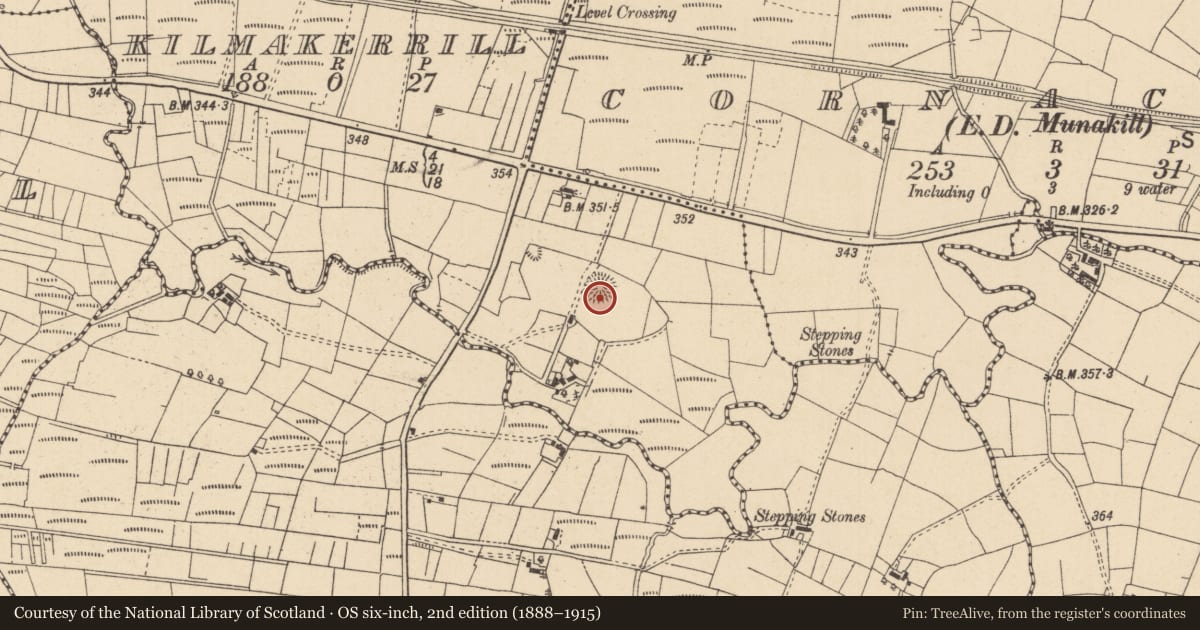 Ordnance Survey six-inch map, 2nd edition (1888–1915) covering the location of Ringfort - rath, Kilmakerrill, County Leitrim, with a pin at the register's coordinates