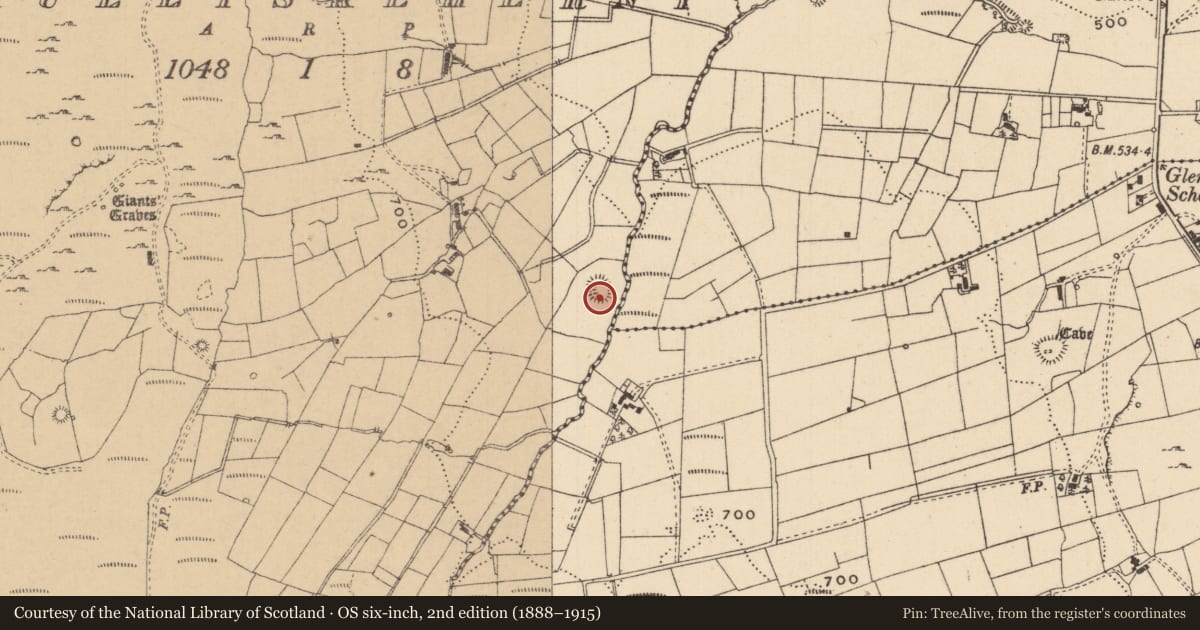 Ordnance Survey six-inch map, 2nd edition (1888–1915) covering the location of Ringfort - rath, Tullyskeherny, County Leitrim, with a pin at the register's coordinates